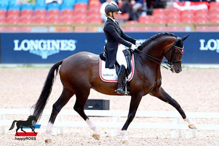 Lapel Pin "Dressage Trot"