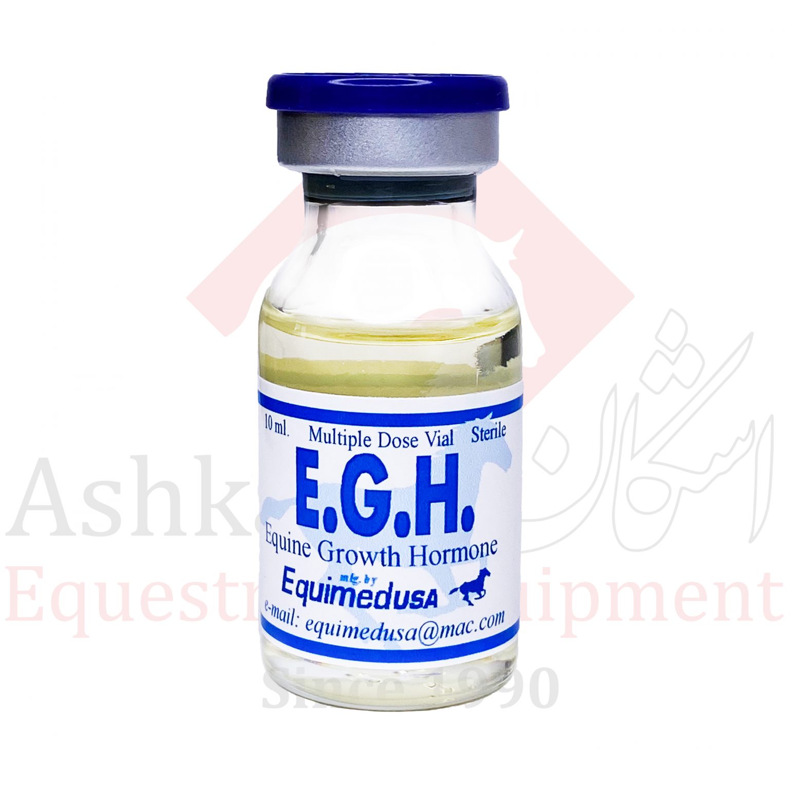 E.G.H-FRONT-1536x1536.jpg