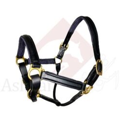 Alternative view of کلگی سرآخور پددار تمام چرم برند Stubben