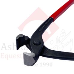 Alternative view of میخ چین homer