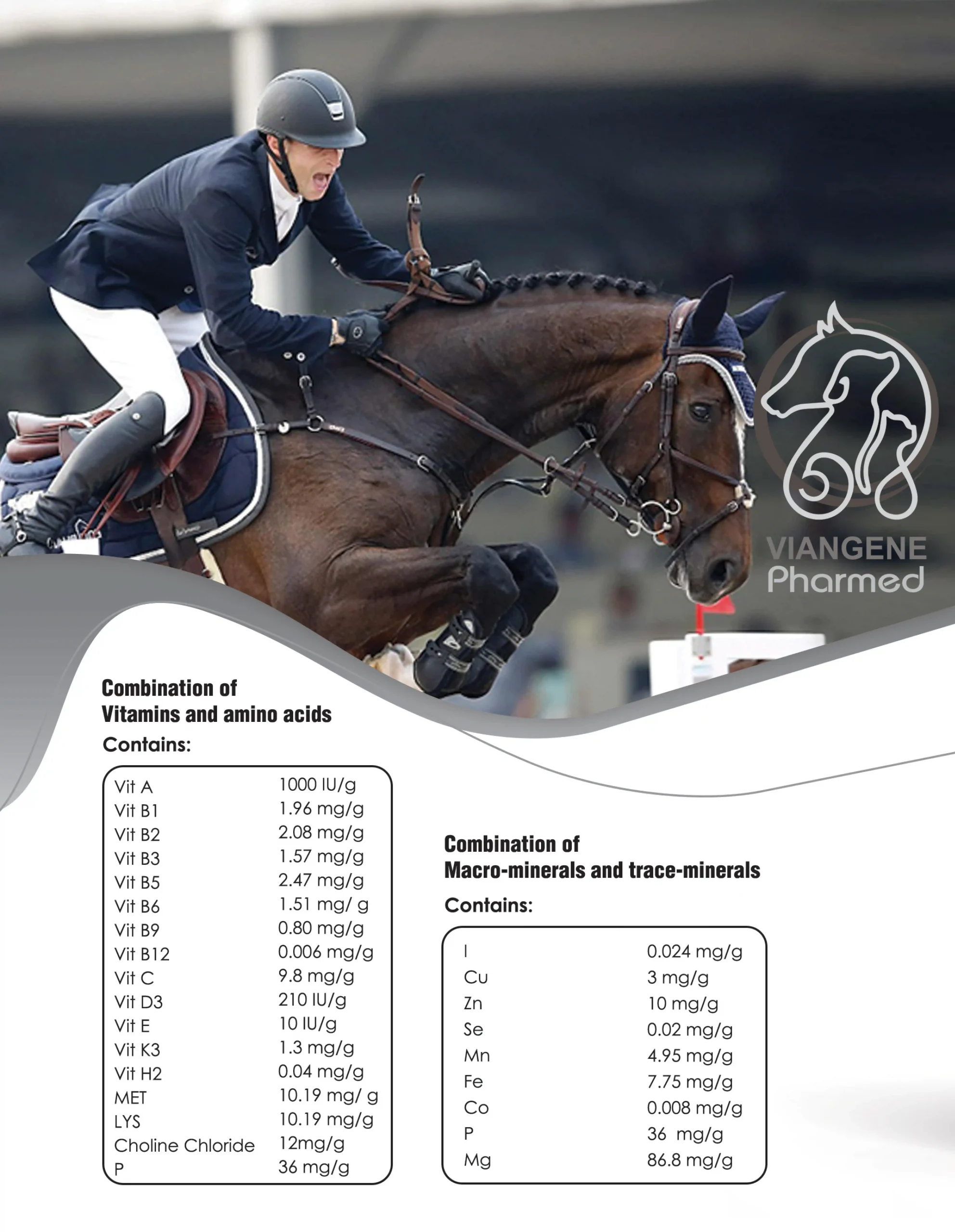 VITAMIN AND MINERAL SUPPLEMENTS FOR SPORTS HORSES
