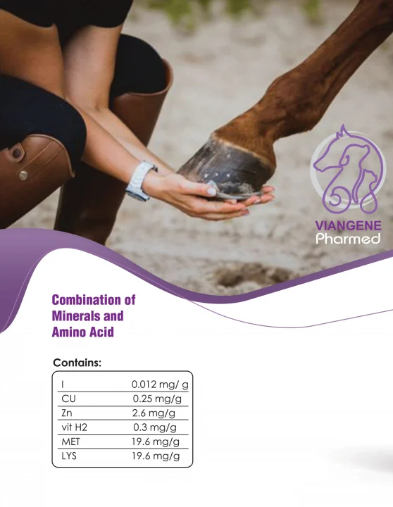 مکمل سم اسب VIAN HOOF