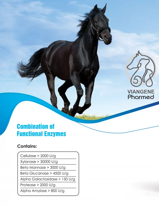 مکمل مولتی آنزیم اسب VIAN MULTI-ANZYME