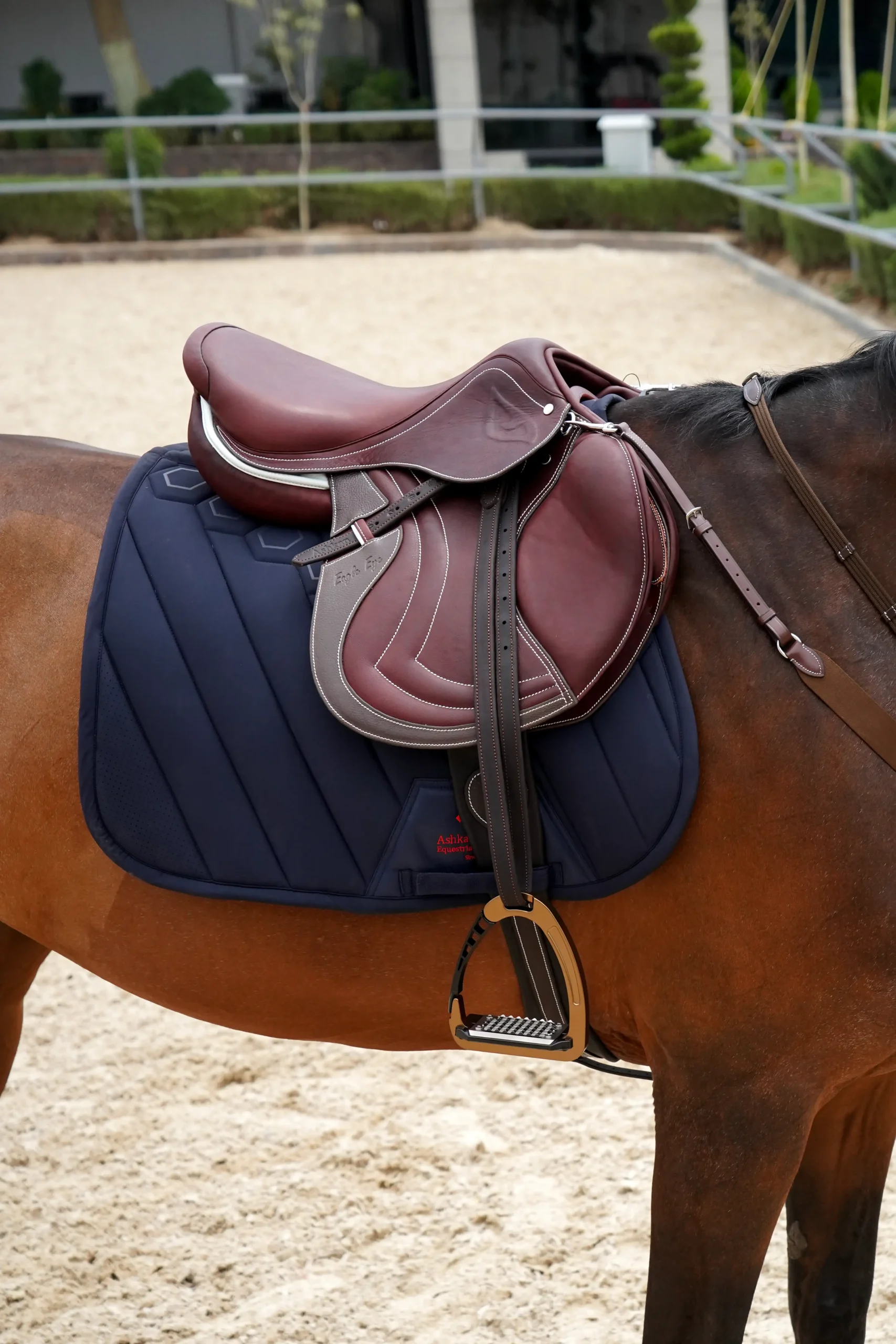 لوازم اسب فروش لوازم فروشگاه سوارکاری اشکان